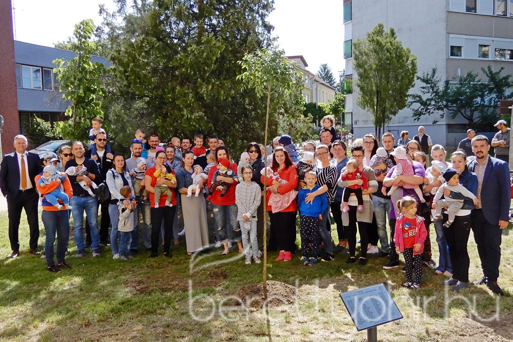 Életfa ültetés a város napján 39